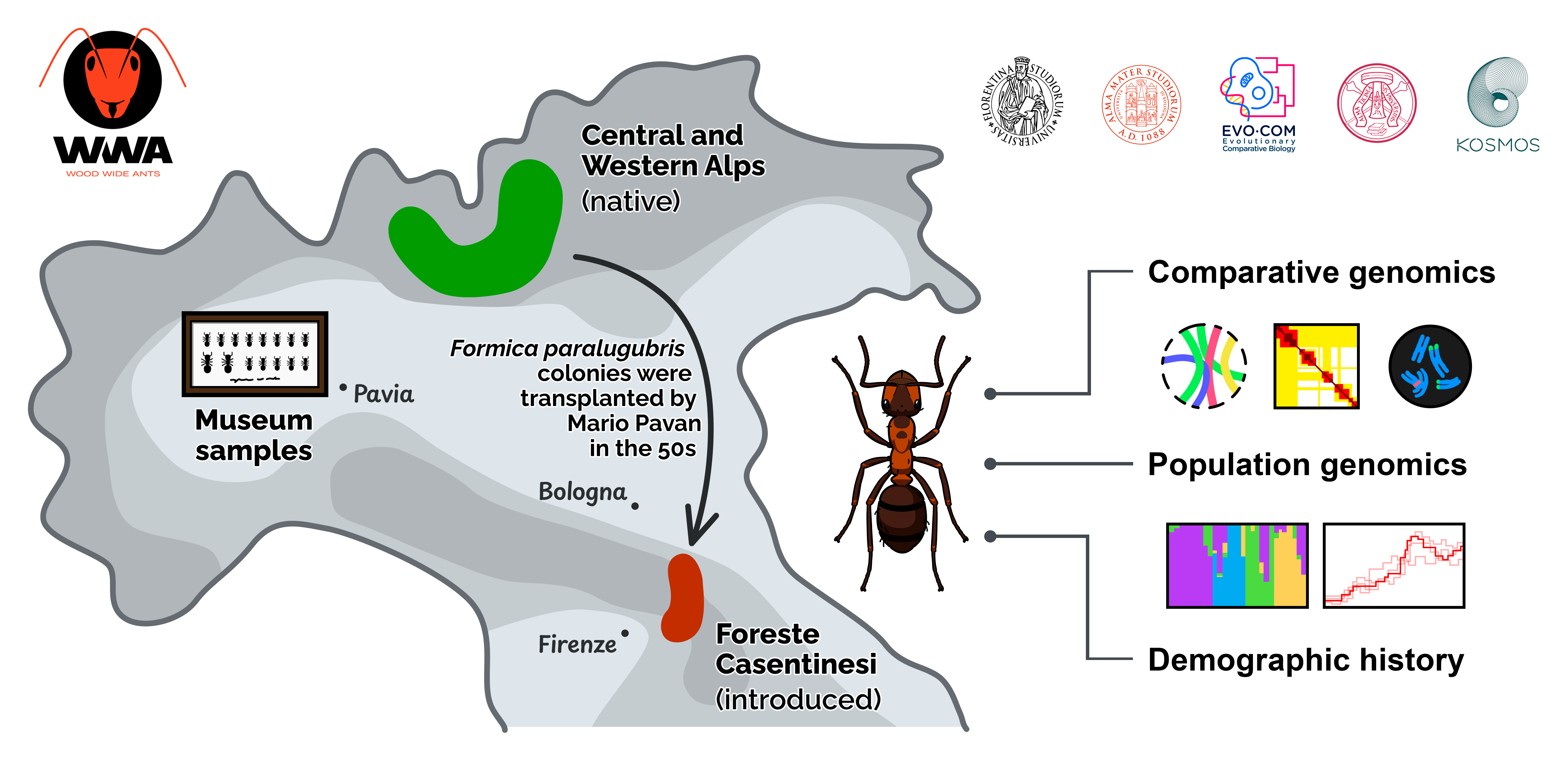 Infographic