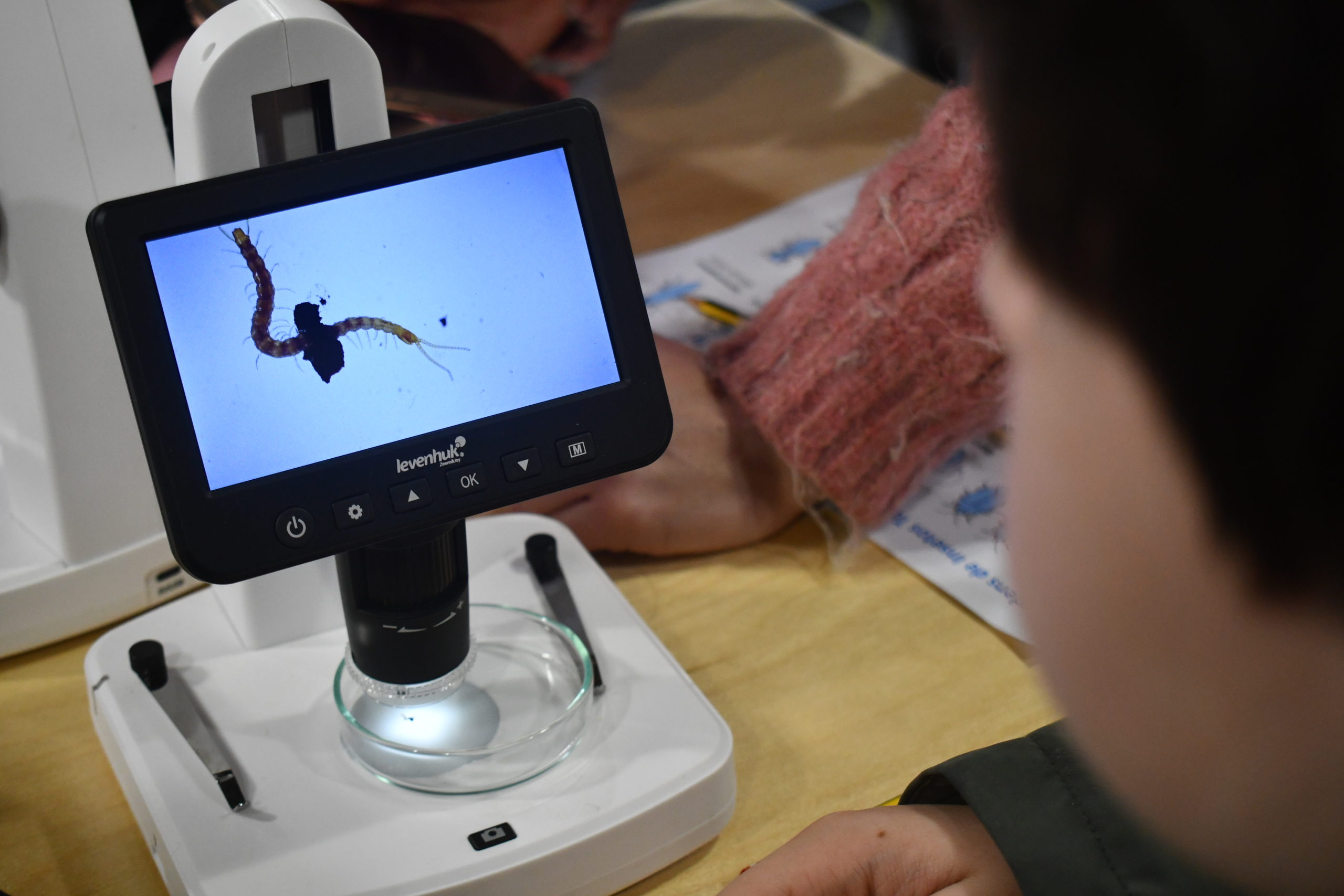 LUIS GUILHERME SOUSA