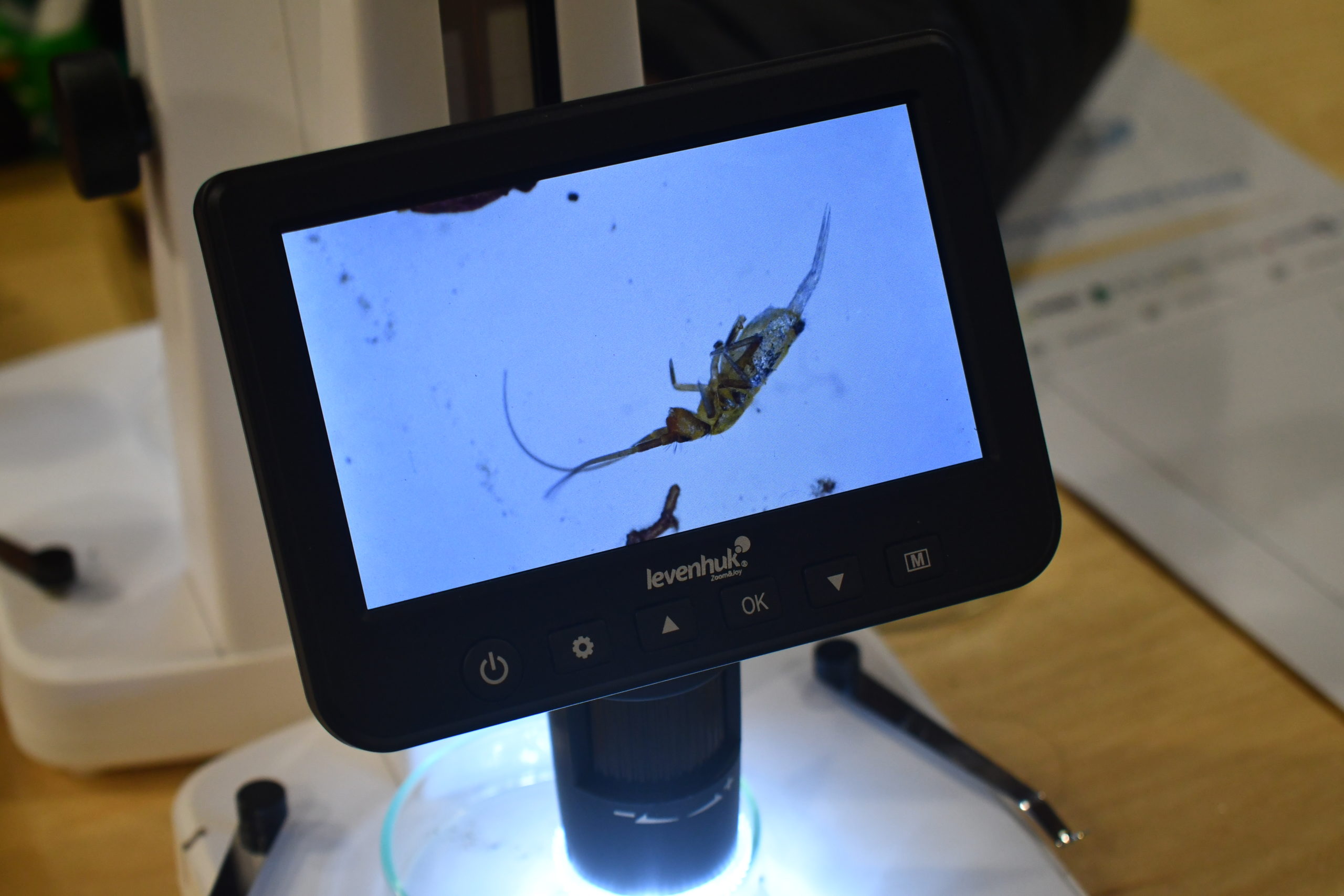 LUIS GUILHERME SOUSA