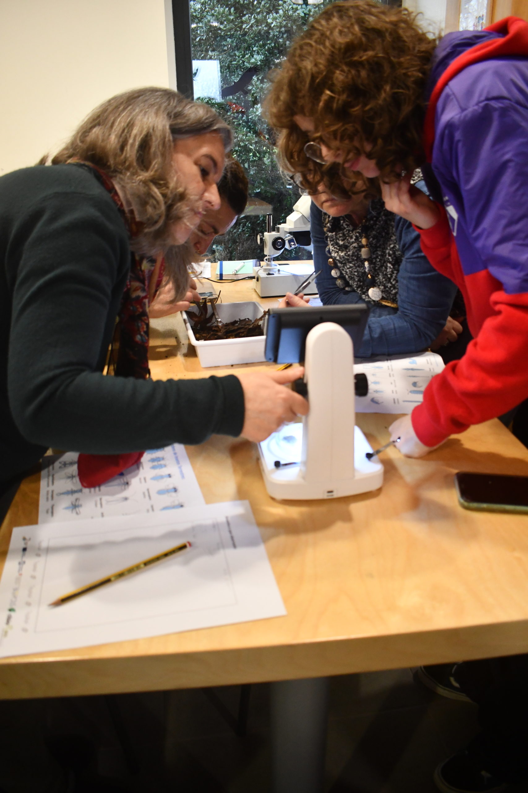 LUIS GUILHERME SOUSA