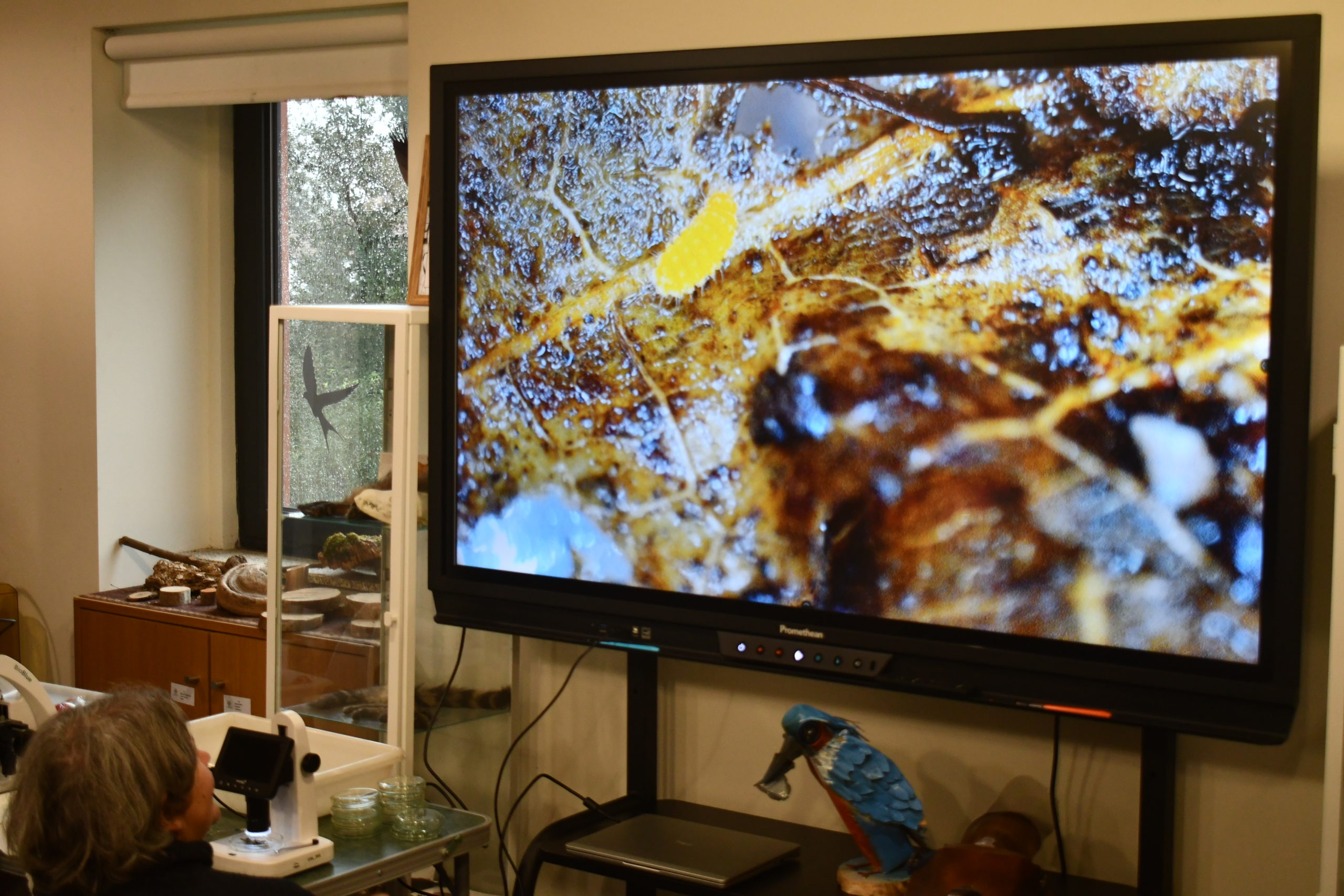 LUIS GUILHERME SOUSA