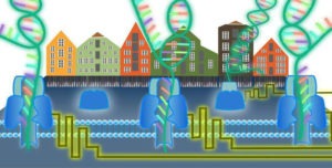 Barcoding with ONT MinION: Theory and Practice