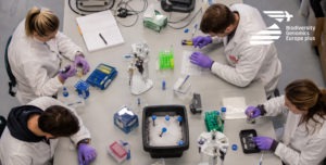 DNA barcoding and metabarcoding using ONTOLOGY™